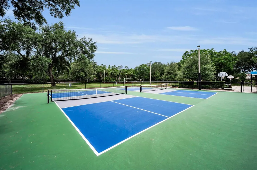 4084 LIGUSTRUM DRIVE Palm Harbor, FL 34685