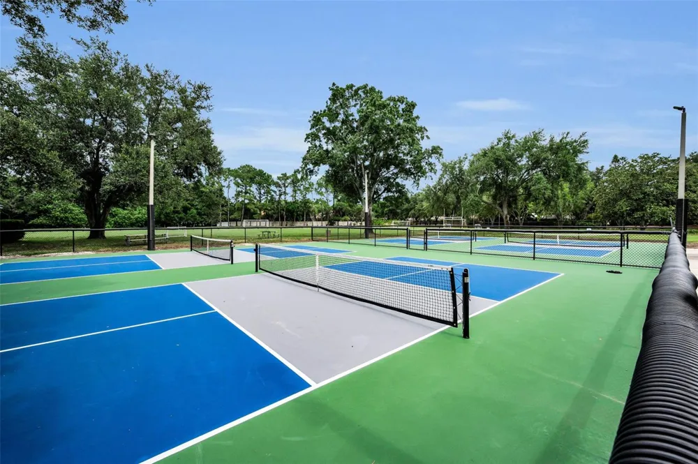 4084 LIGUSTRUM DRIVE Palm Harbor, FL 34685