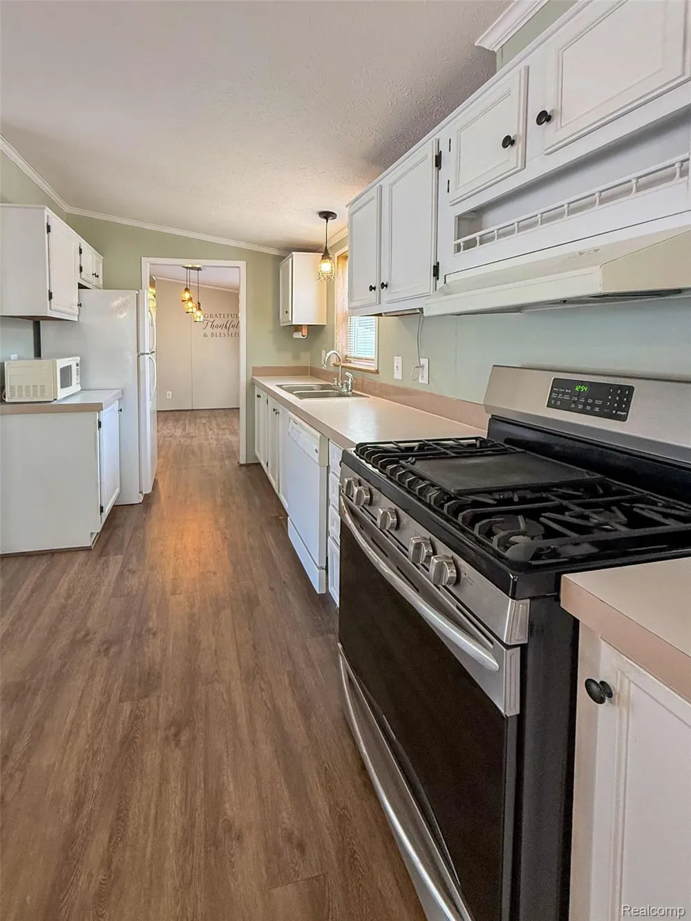 416 Raisin River Drive Adrian City, MI 49221