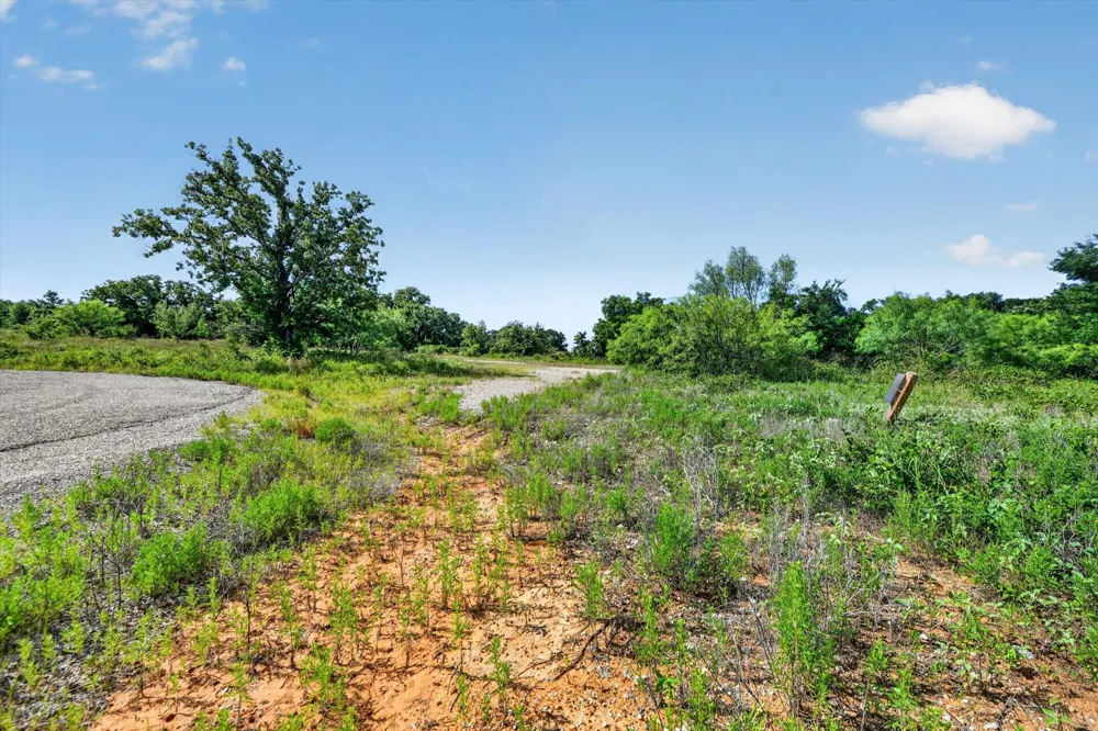 Blissful Court Perrin, TX 76487