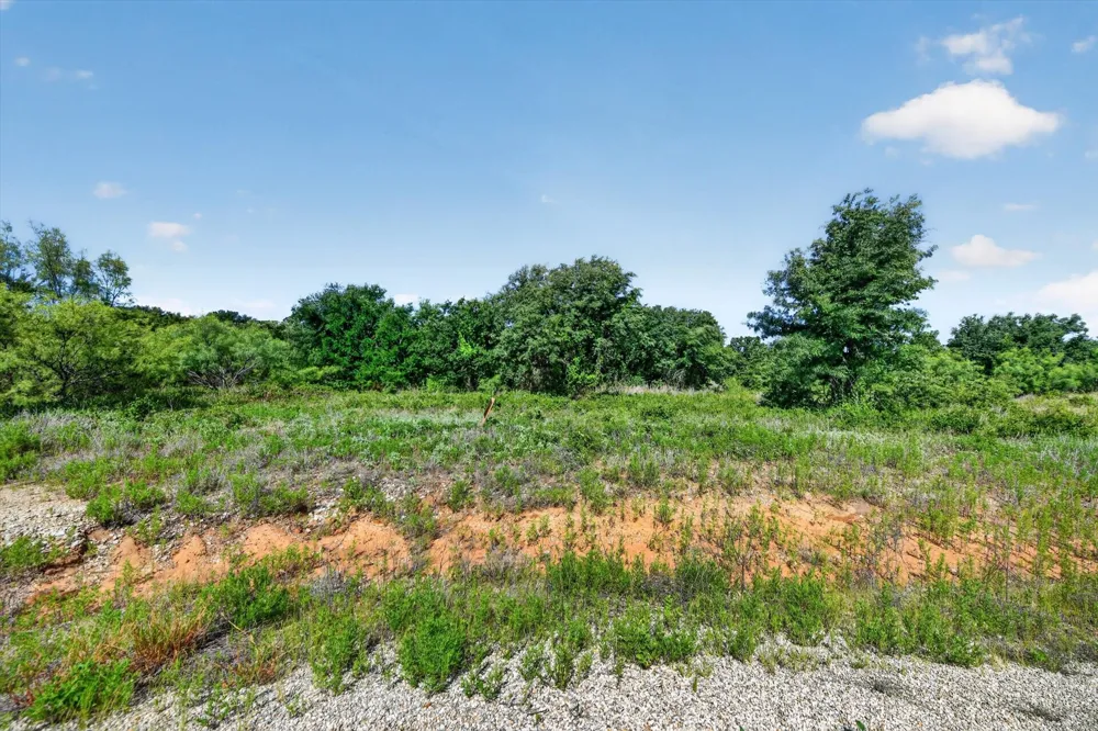 Blissful Court Perrin, TX 76487