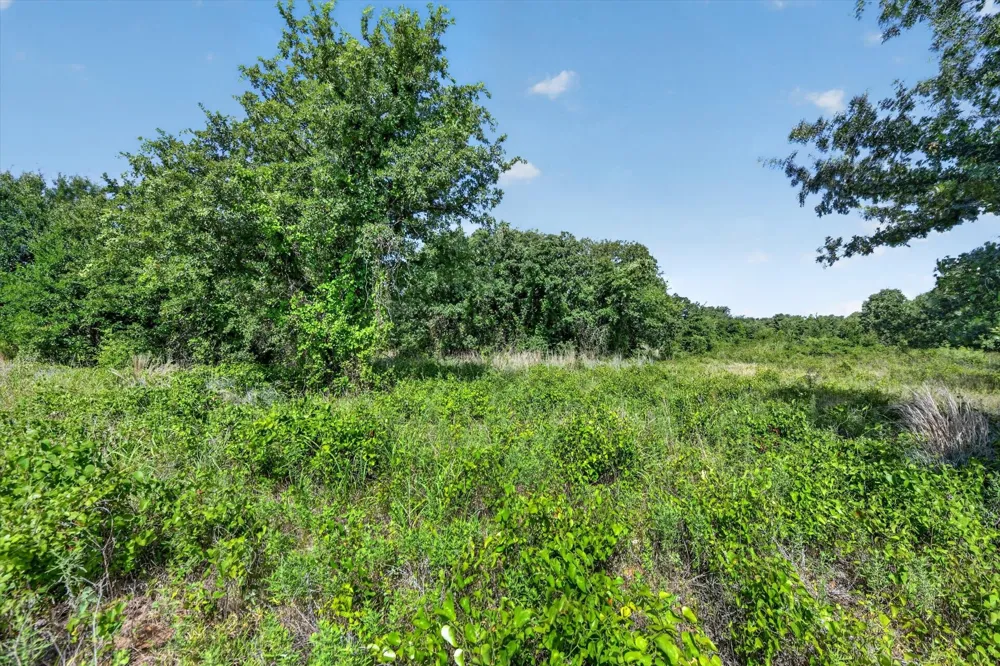 Blissful Court Perrin, TX 76487