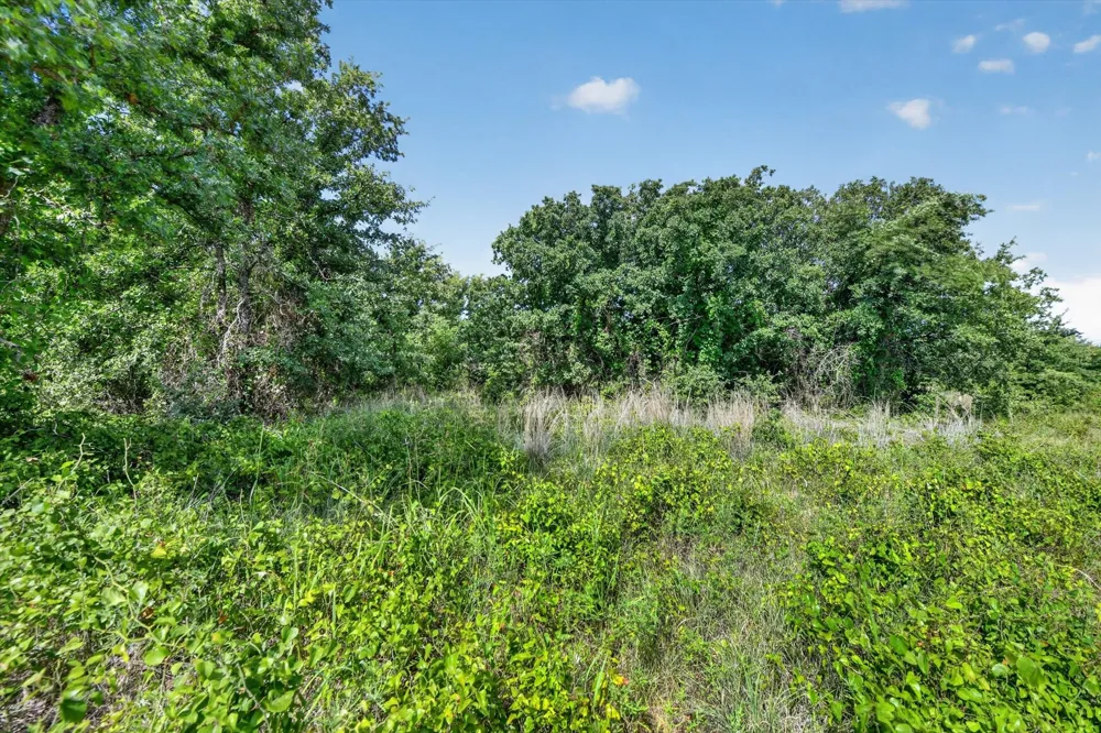 Blissful Court Perrin, TX 76487