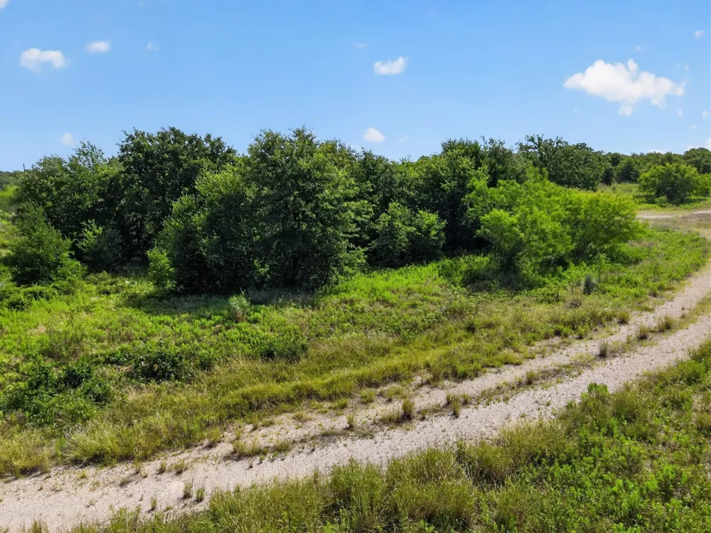 Blissful Court Perrin, TX 76487