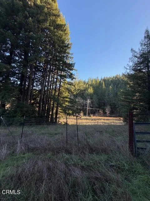 7800 Flynn Creek Road