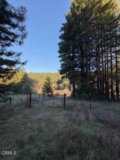 7800 Flynn Creek Road Comptche, CA 95427