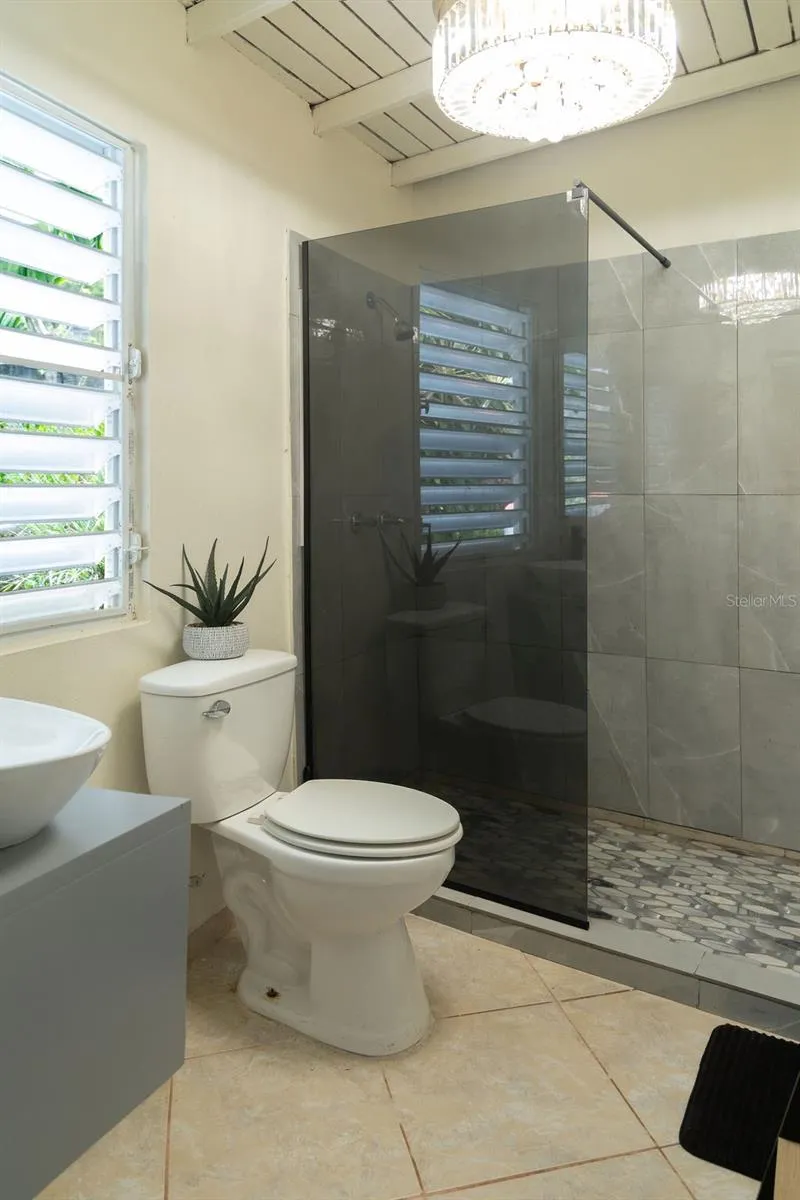 393 MONTE CARMELO Vieques, PR 00765