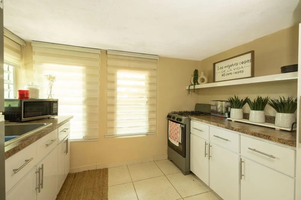 393 MONTE CARMELO Vieques, PR 00765
