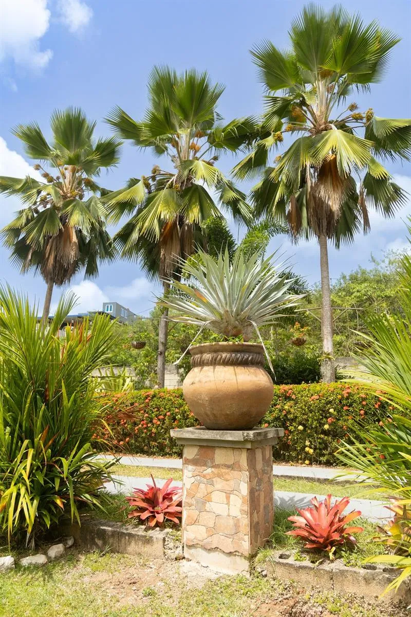 393 MONTE CARMELO Vieques, PR 00765