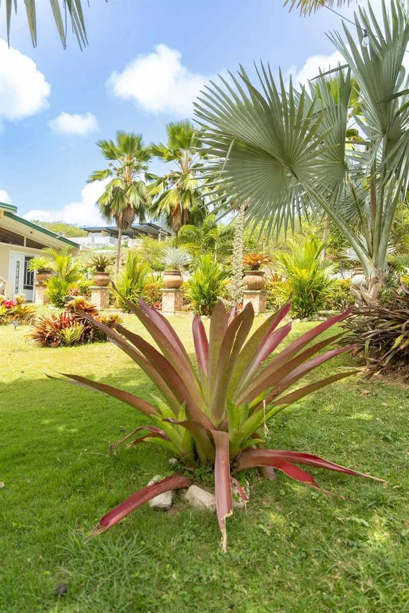393 MONTE CARMELO Vieques, PR 00765