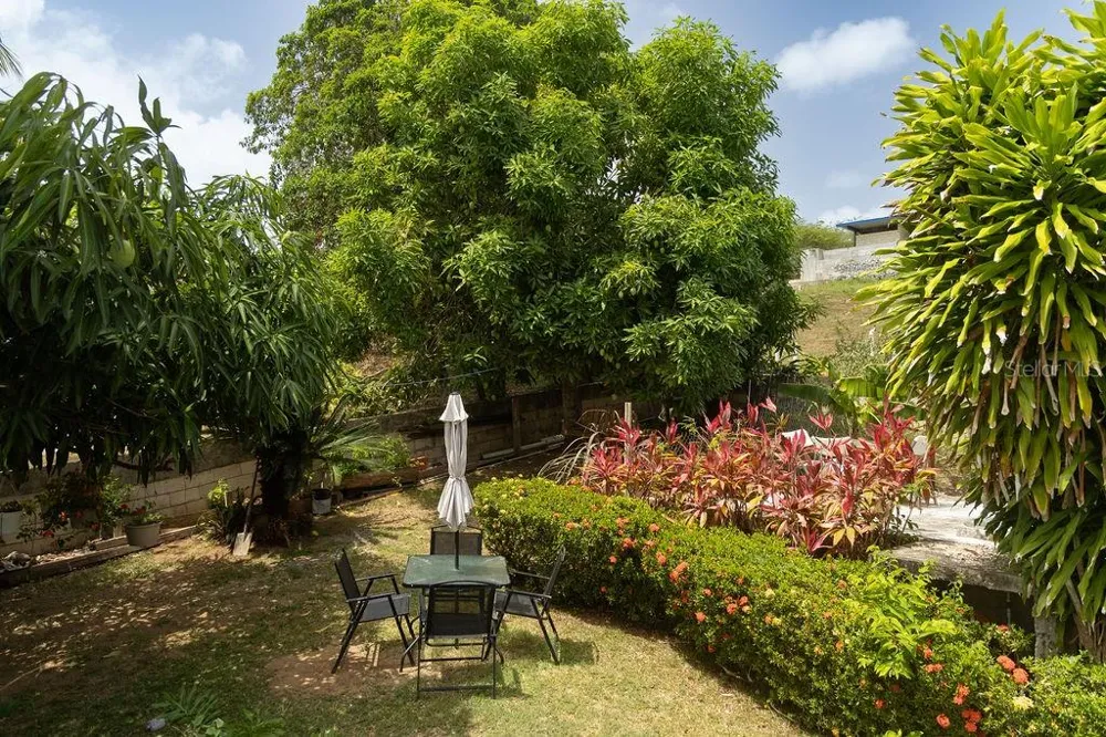 393 MONTE CARMELO Vieques, PR 00765