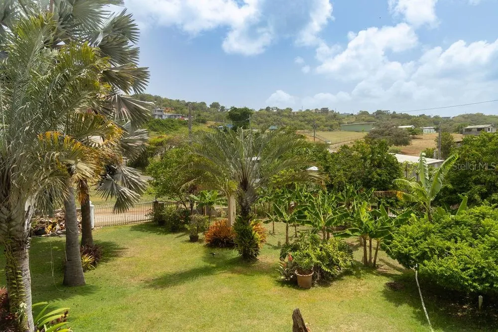 393 MONTE CARMELO Vieques, PR 00765