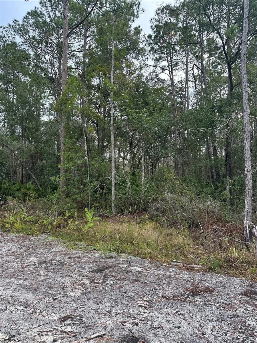 2301 10TH AVENUE Deland, FL 32724