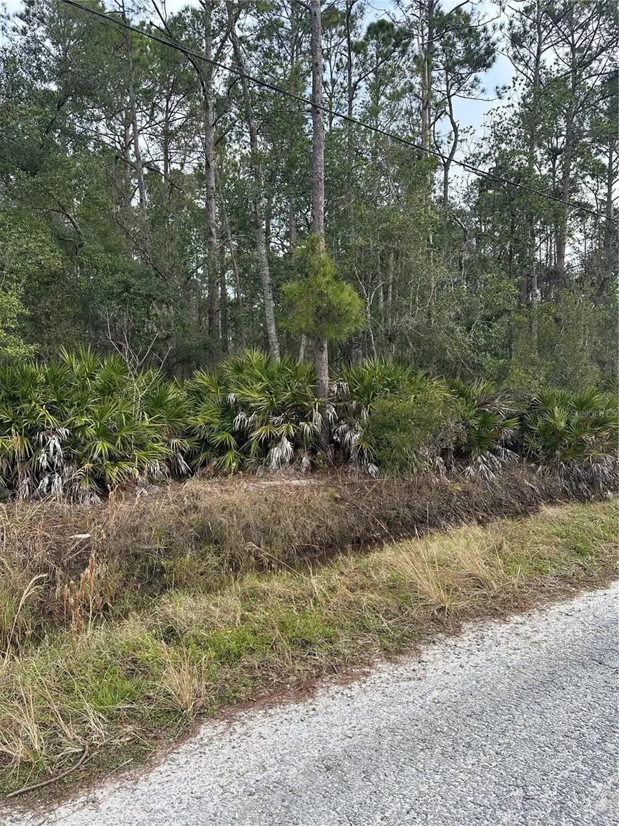 2301 10TH AVENUE Deland, FL 32724