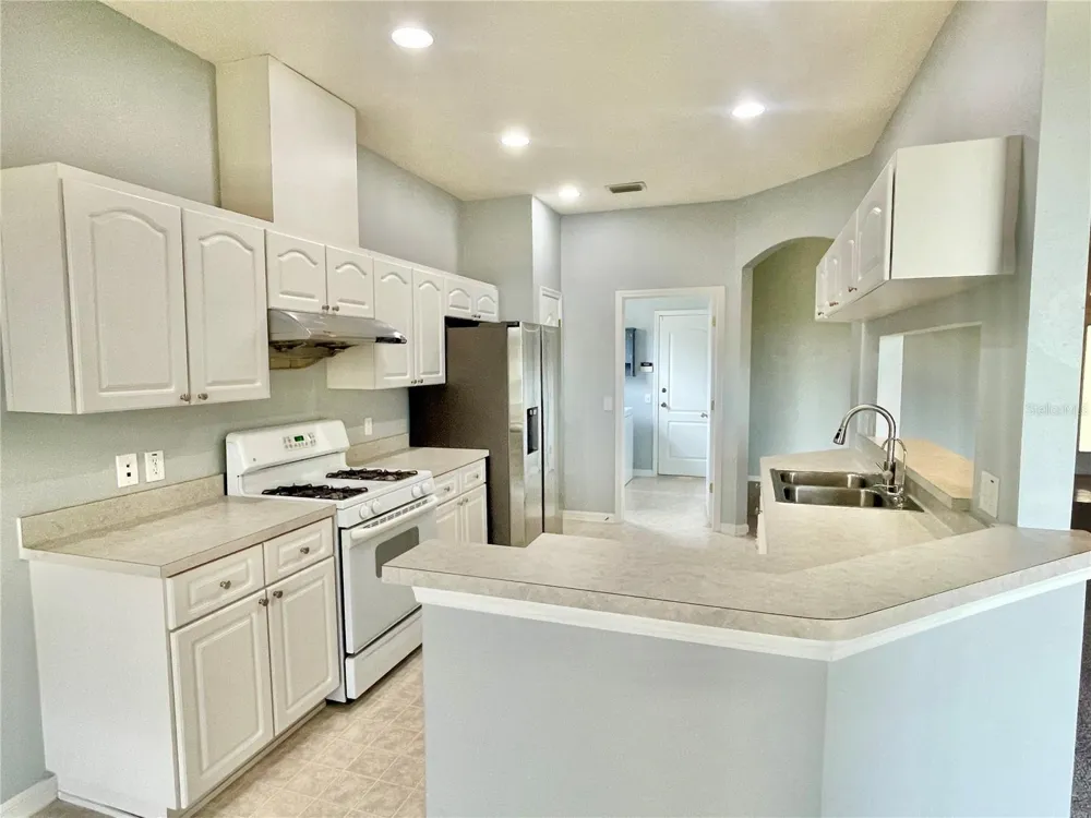 24652 PORTOFINO DRIVE Lutz, FL 33559