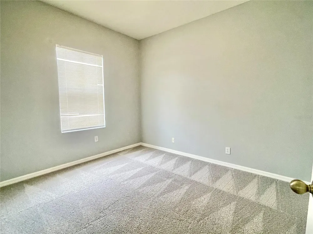 24652 PORTOFINO DRIVE Lutz, FL 33559