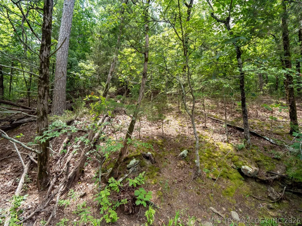 164687 4293 ROAD Clayton, OK 74536