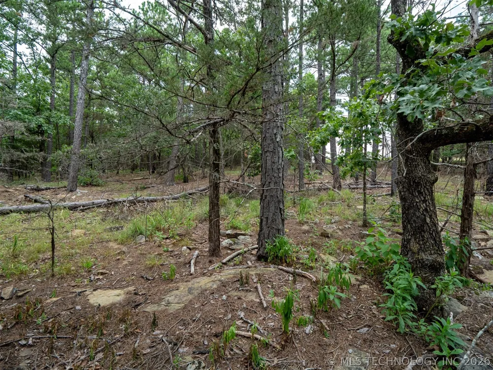 164687 4293 ROAD Clayton, OK 74536