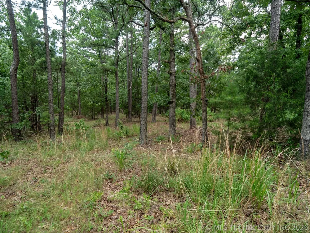 164687 4293 ROAD Clayton, OK 74536