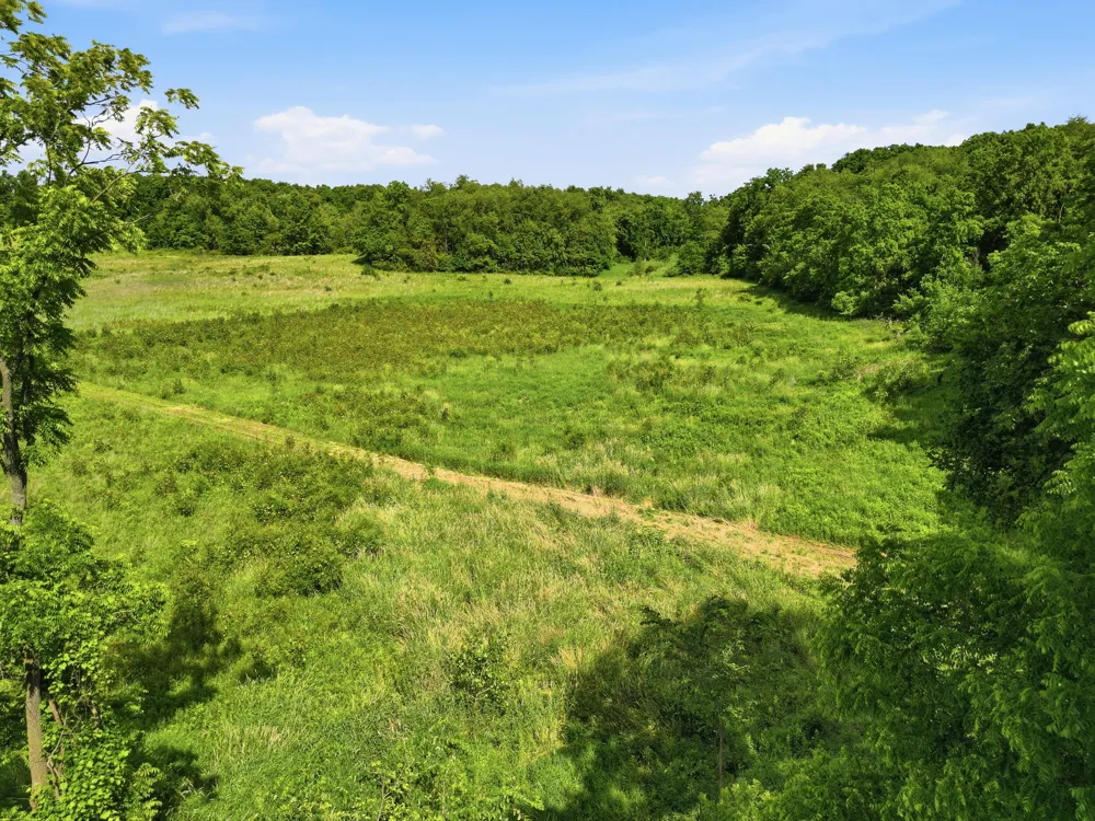 Tamarack Road Pittsford, MI 49271