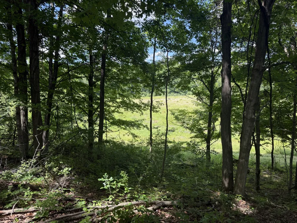 Tamarack Road Pittsford, MI 49271