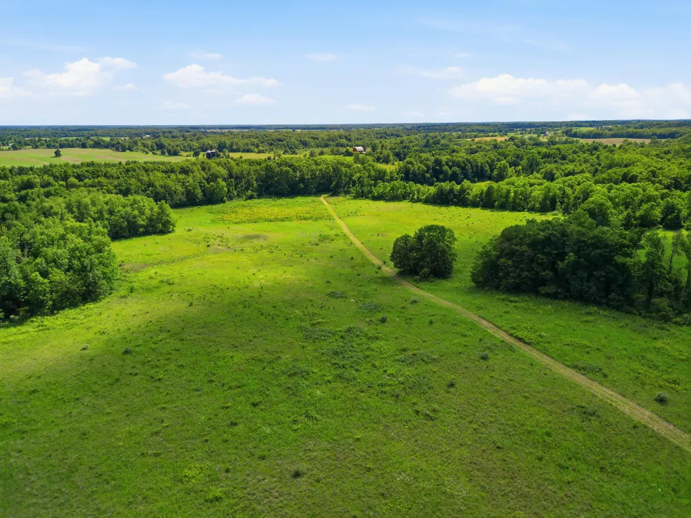 Tamarack Road Pittsford, MI 49271