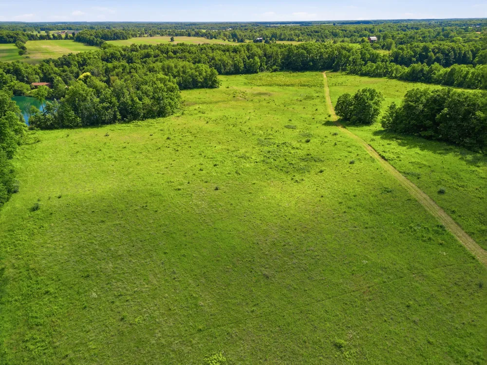 Tamarack Road Pittsford, MI 49271