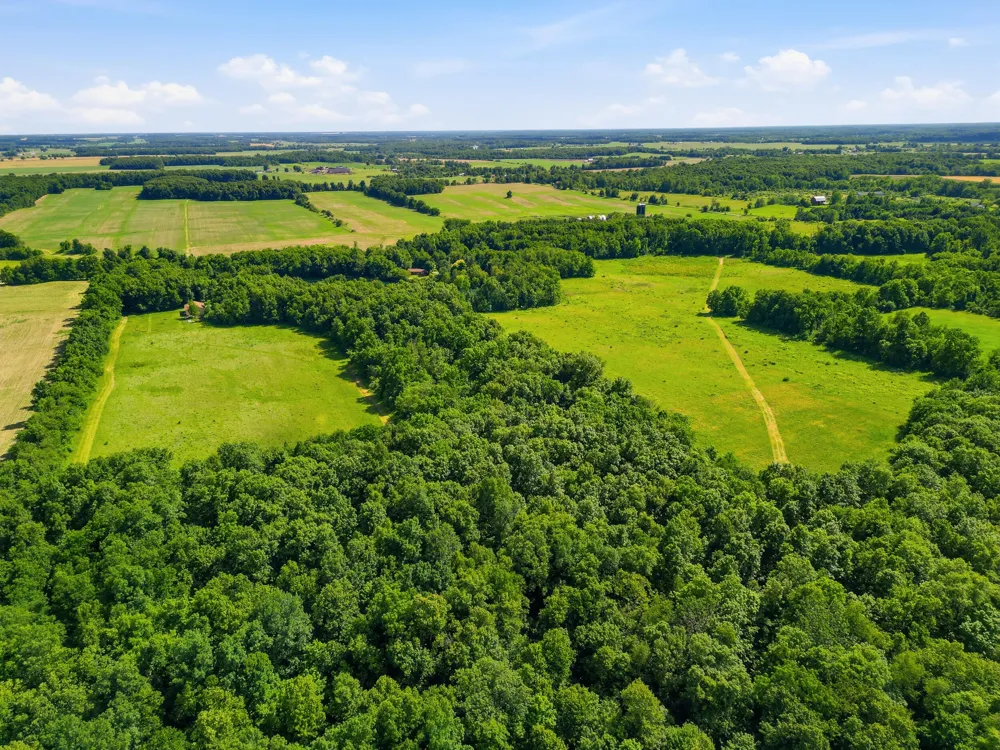 Tamarack Road Pittsford, MI 49271
