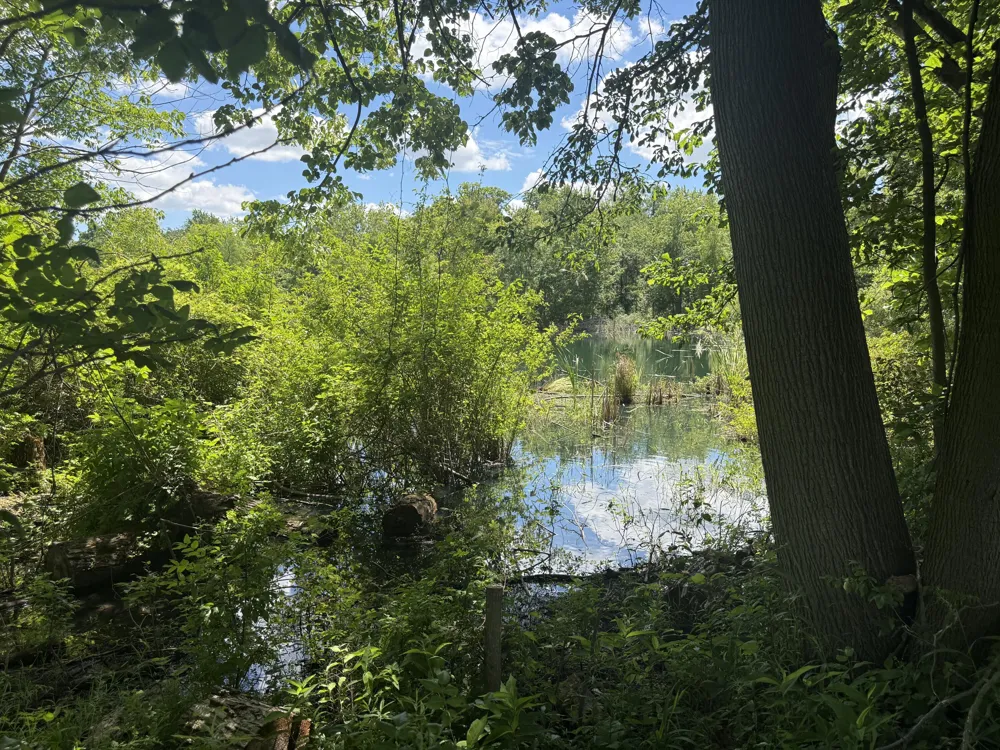 Tamarack Road Pittsford, MI 49271