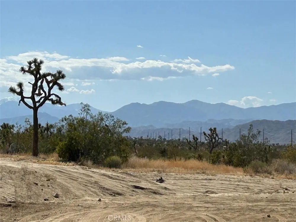 7374 Olympic Road Joshua Tree, CA 92252