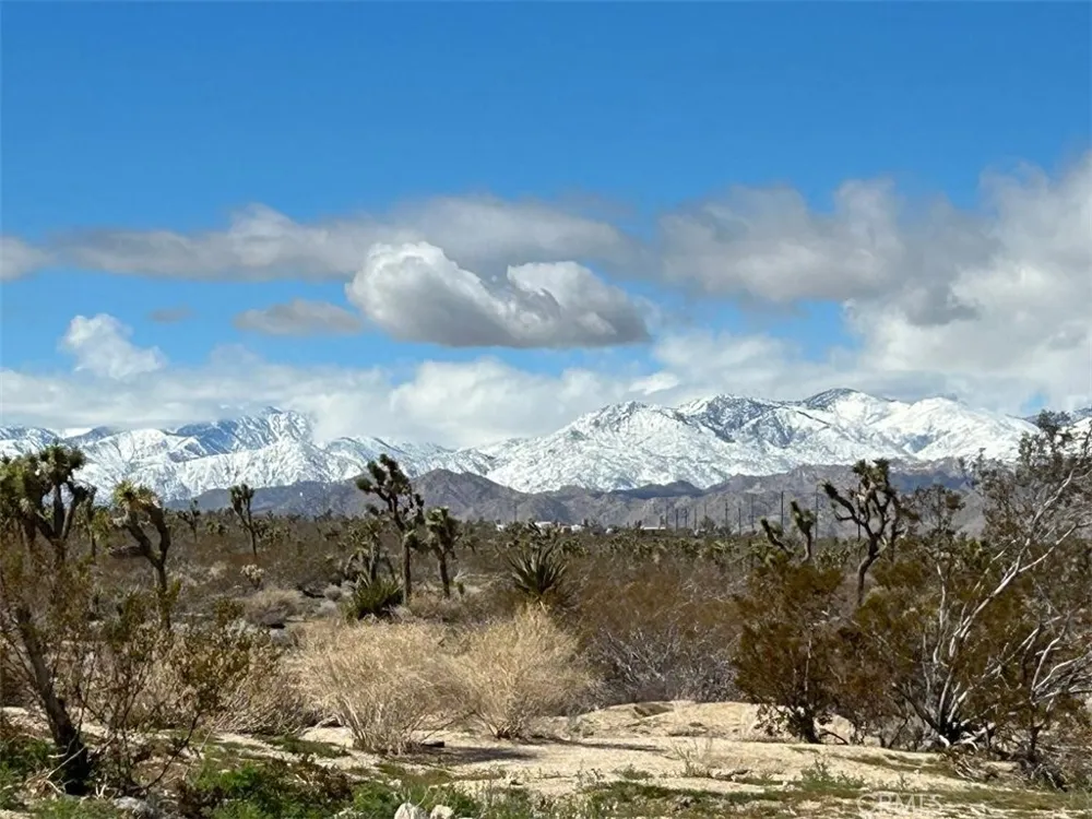7374 Olympic Road Joshua Tree, CA 92252