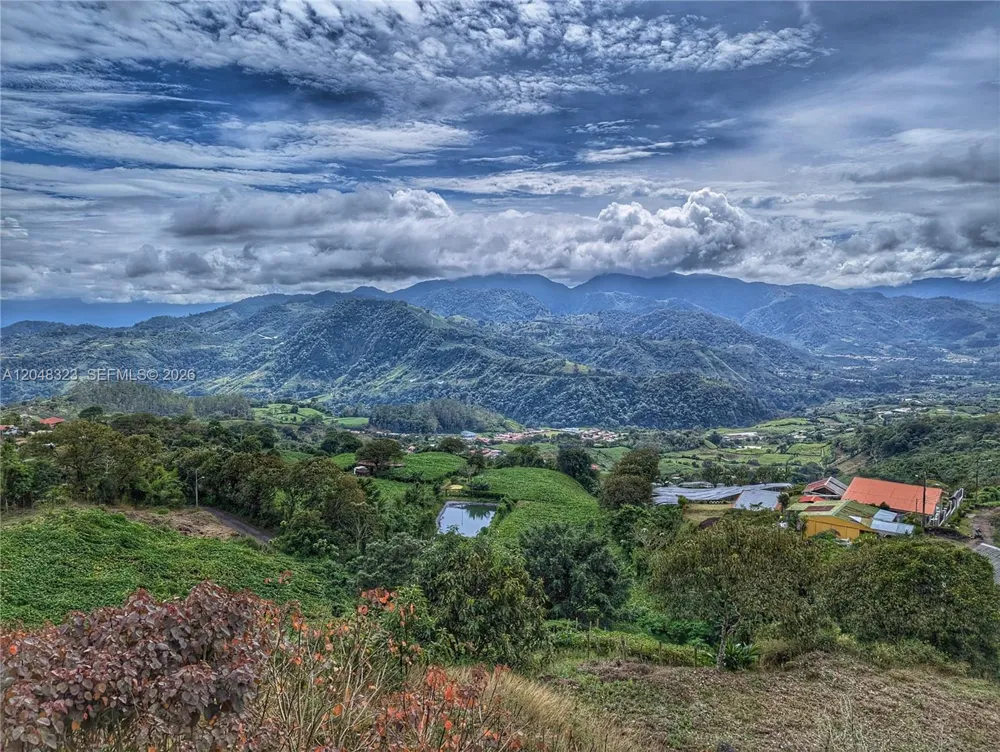 6 Cervantes Cartago Costa Rica 