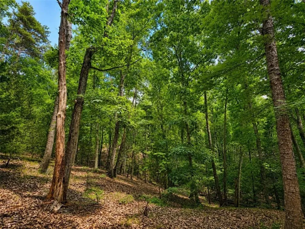 0 Gadsden Road Cave Spring, GA 30124