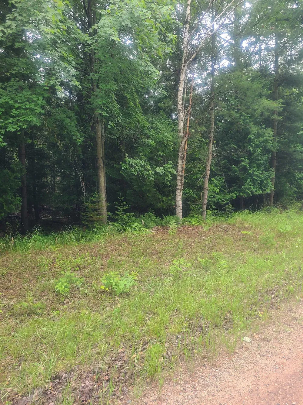 W Woodlea Road Oscoda Charter Township, MI 48750