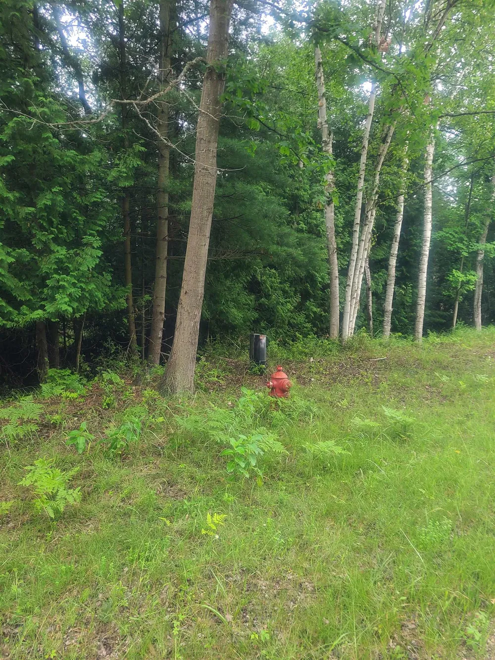 W Woodlea Road Oscoda Charter Township, MI 48750