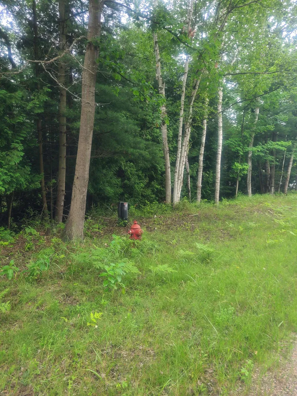 W Woodlea Road Oscoda Charter Township, MI 48750