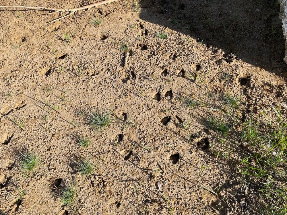 Hidden Shores Cisco, TX 76437