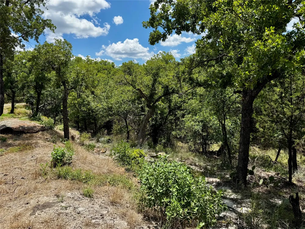 Chism Trail Gordon, TX 76453