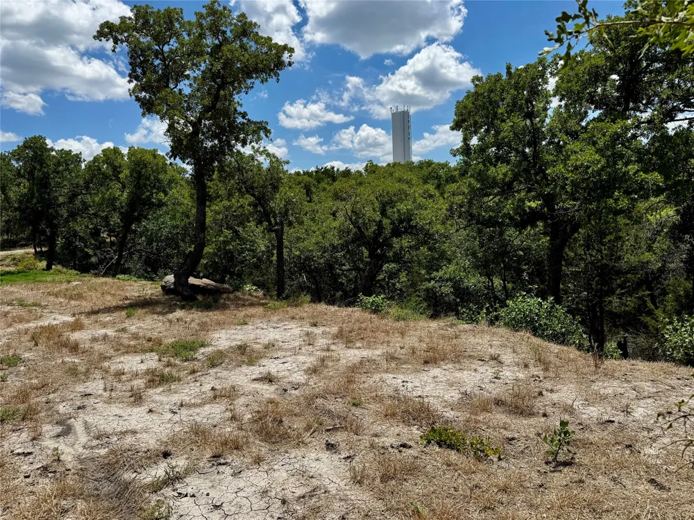 Chism Trail Gordon, TX 76453