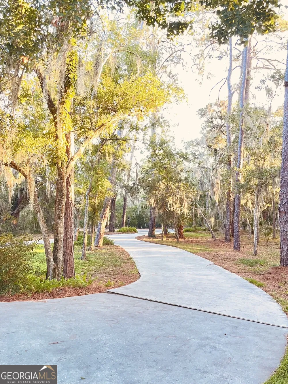 17 Boundary LN St. Simons, GA 31522