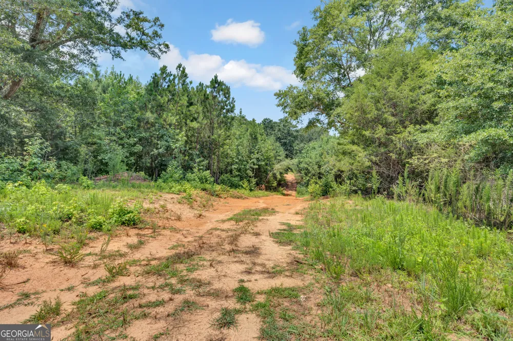 2361 Salem RD Watkinsville, GA 30677