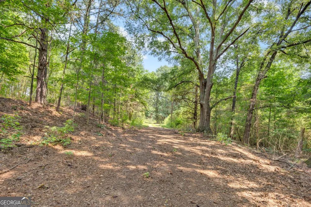 2361 Salem RD Watkinsville, GA 30677