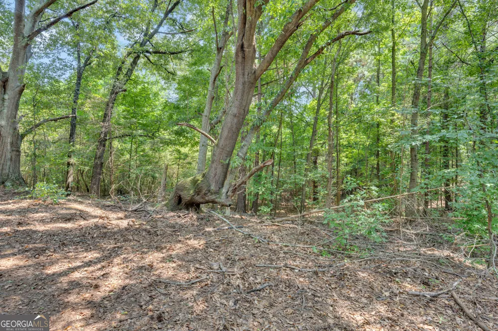 2361 Salem RD Watkinsville, GA 30677