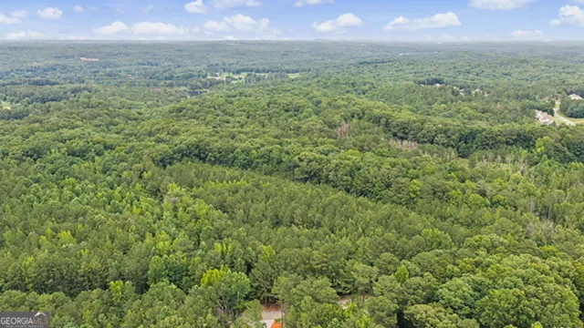 0 Cedar Grove RD Chattahoochee Hills, GA 30268