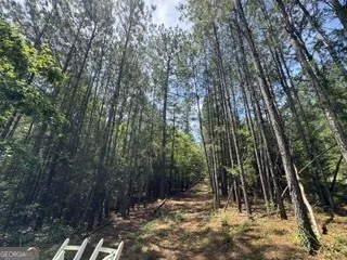 2062 Fisher Lane Elberton, GA 30635