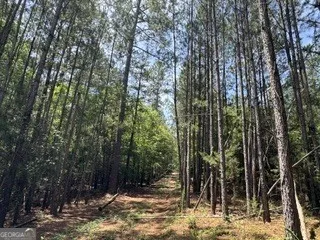 2062 Fisher Lane Elberton, GA 30635