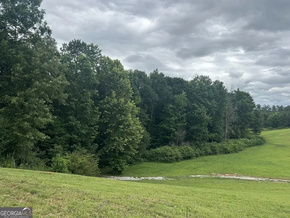 240 Victory Dashboard RD Bowdon, GA 30108