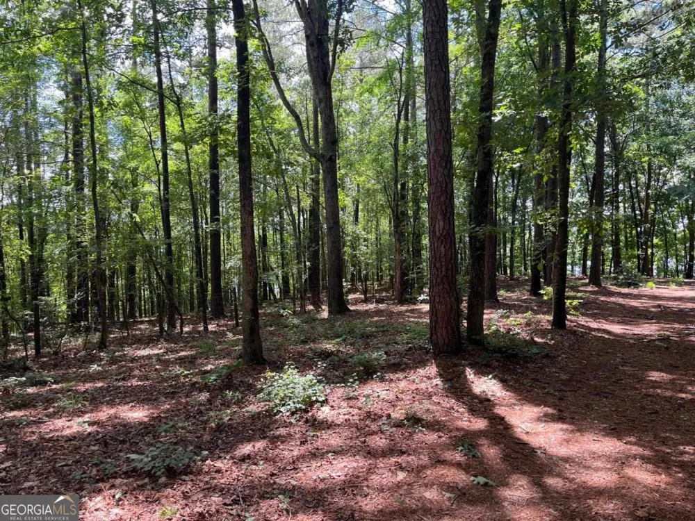 1603 Pullman LN Greensboro, GA 30642