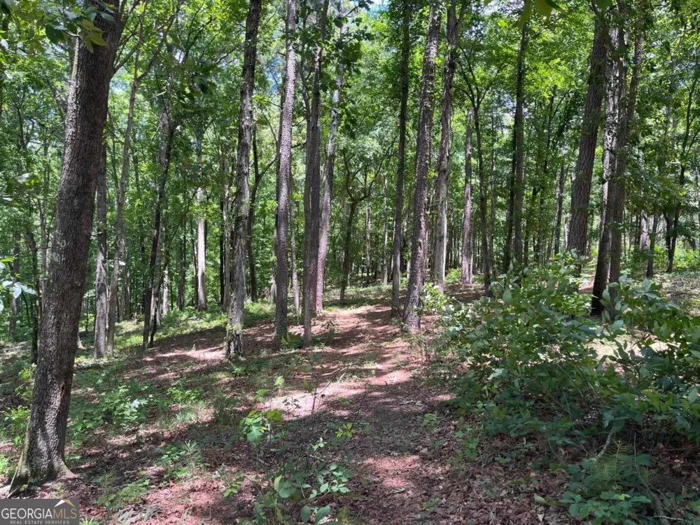 1577 Pullman LN Greensboro, GA 30642