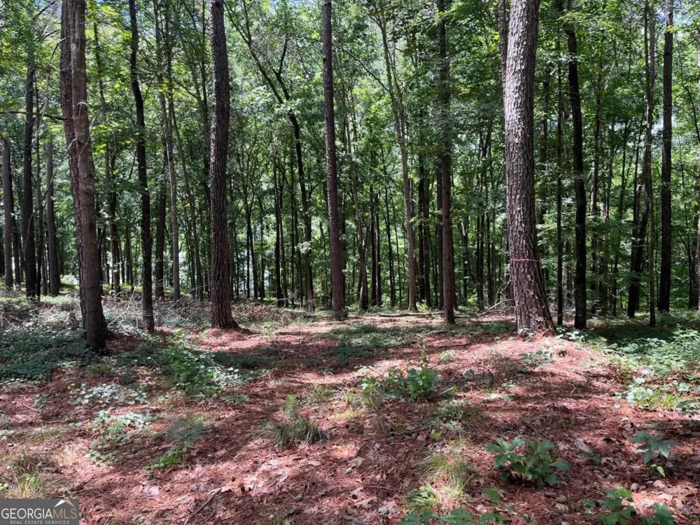 1577 Pullman LN Greensboro, GA 30642